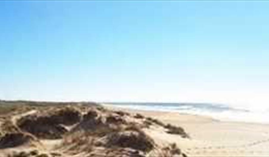 Playa Mangueta
