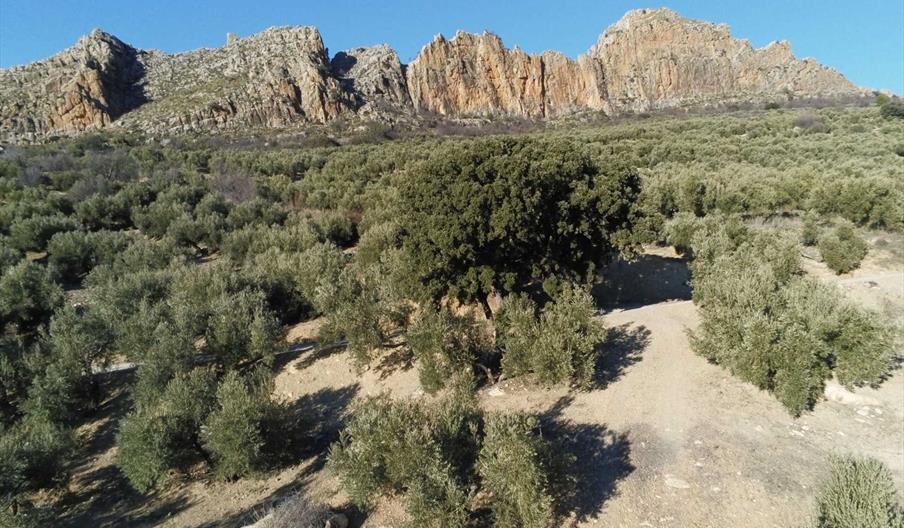 El Torcal