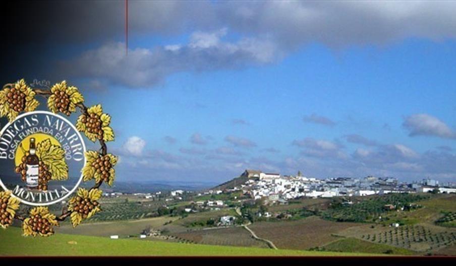Bodegas Navarro