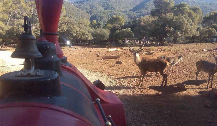 Parque Cinegético Collado del Almendral