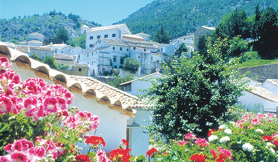 Provincia de Cádiz