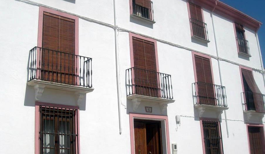 Lirio Azul