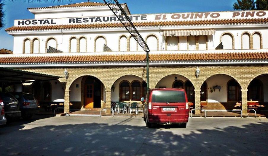 El Quinto Pino
