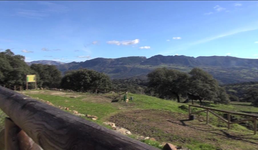 Mirador del corcho