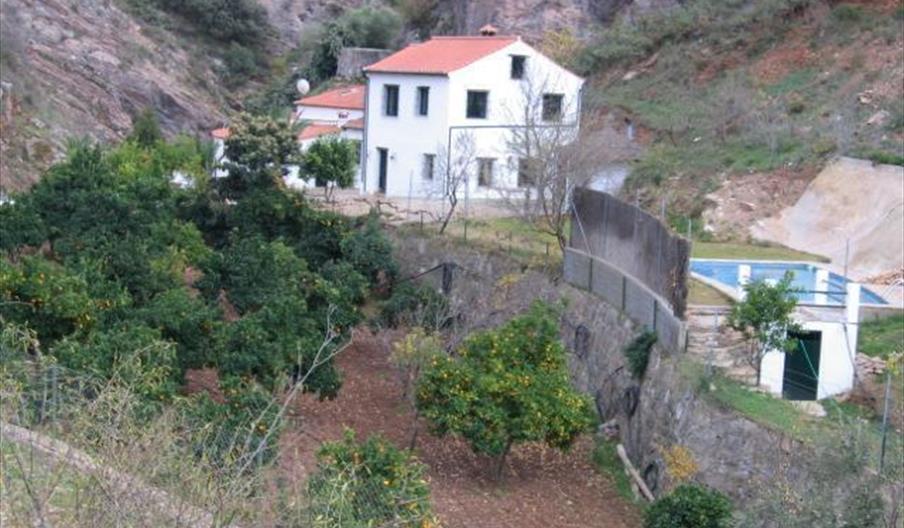 El Molinillo