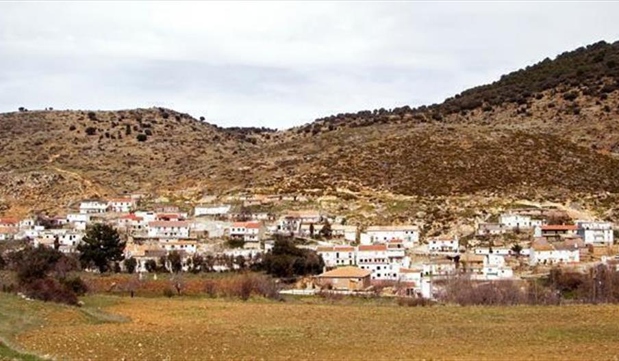 Illora
