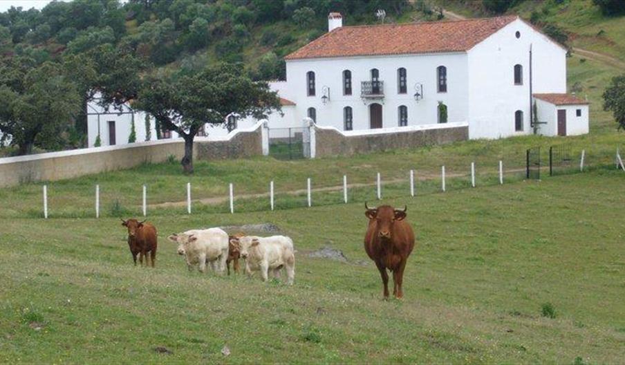 Fuentibáñez