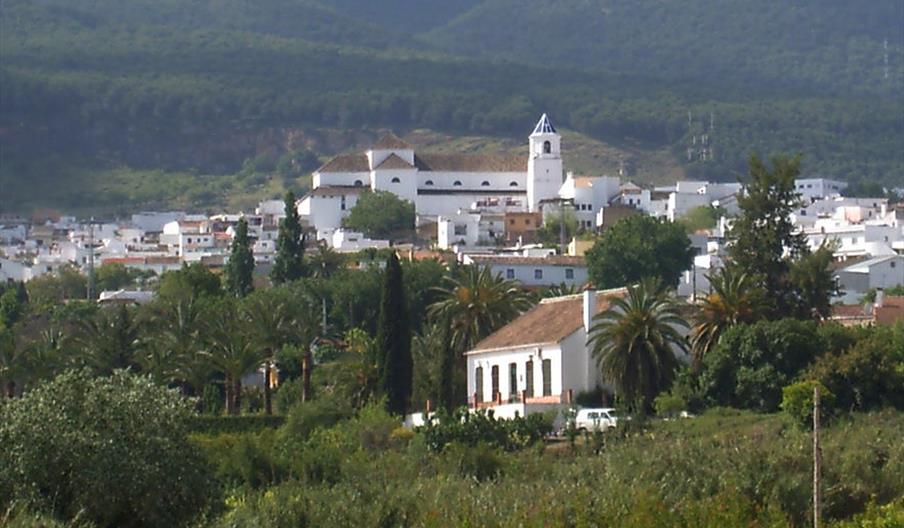 Alhaurín el Grande