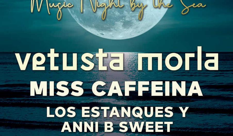 Luna Sur Festival