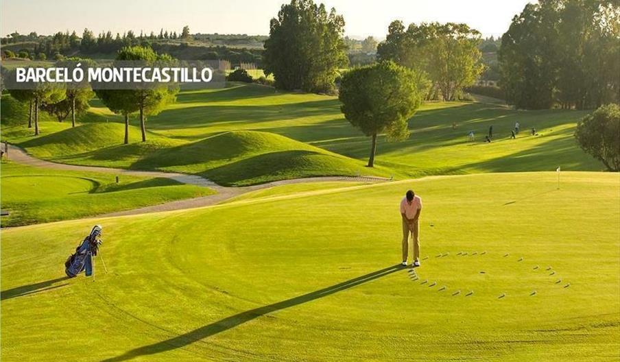 Montecastillo