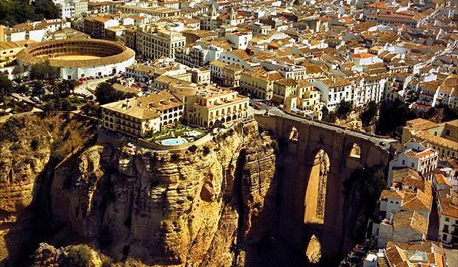 Madroño, El
