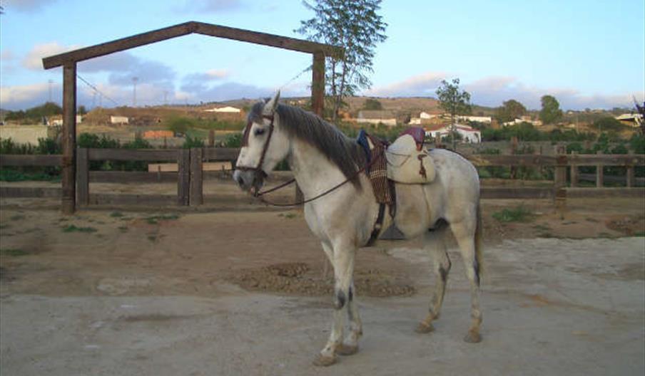 Finca La Herencia