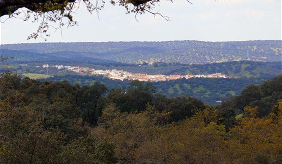 Cardeña