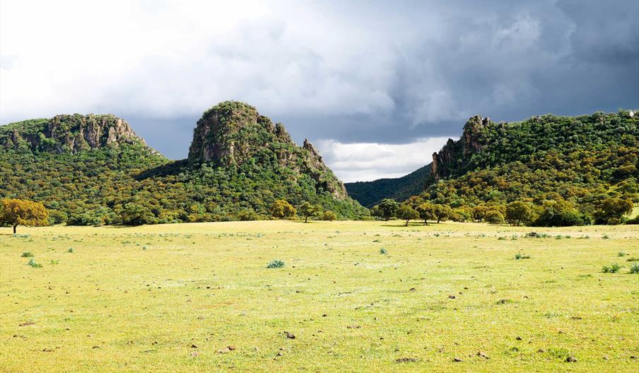 FINCA