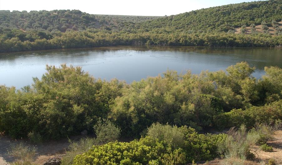 Laguna Amarga