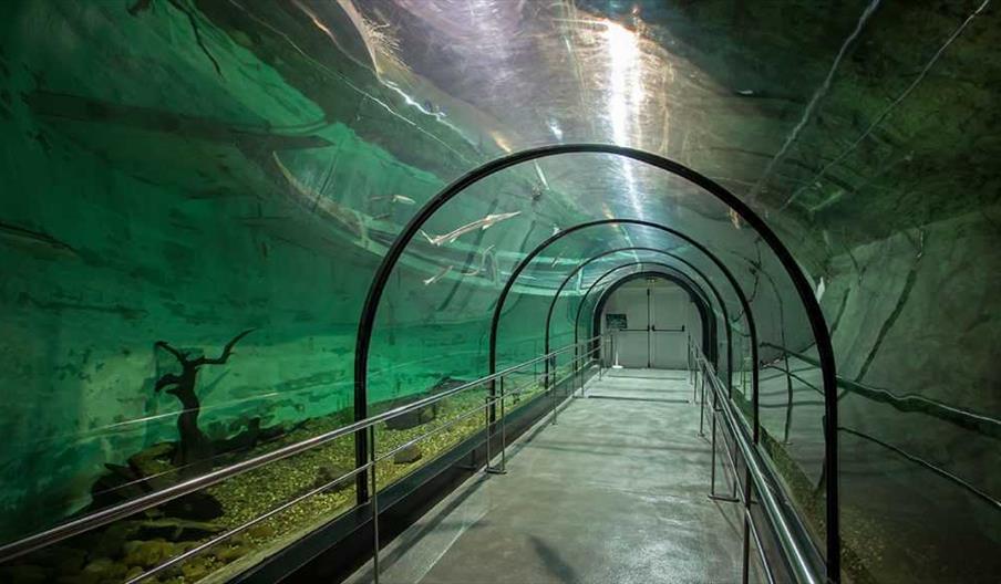 Estación de Ecología Acuática Príncipe Alberto I de Mónaco