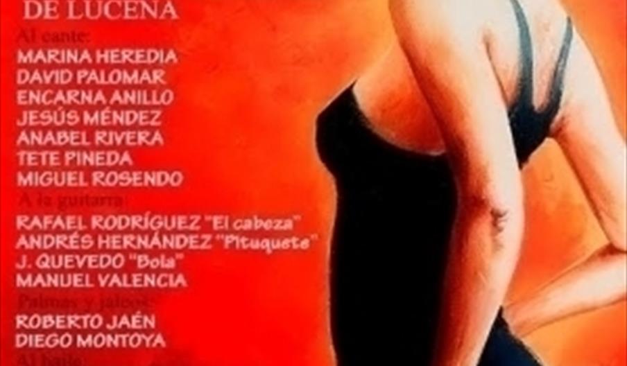 Festival Flamenco y Vida