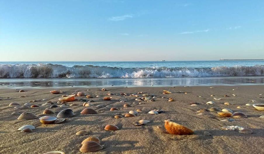 Playa del Remo