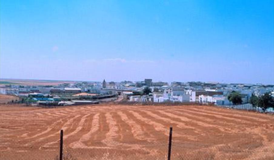 Molares, Los