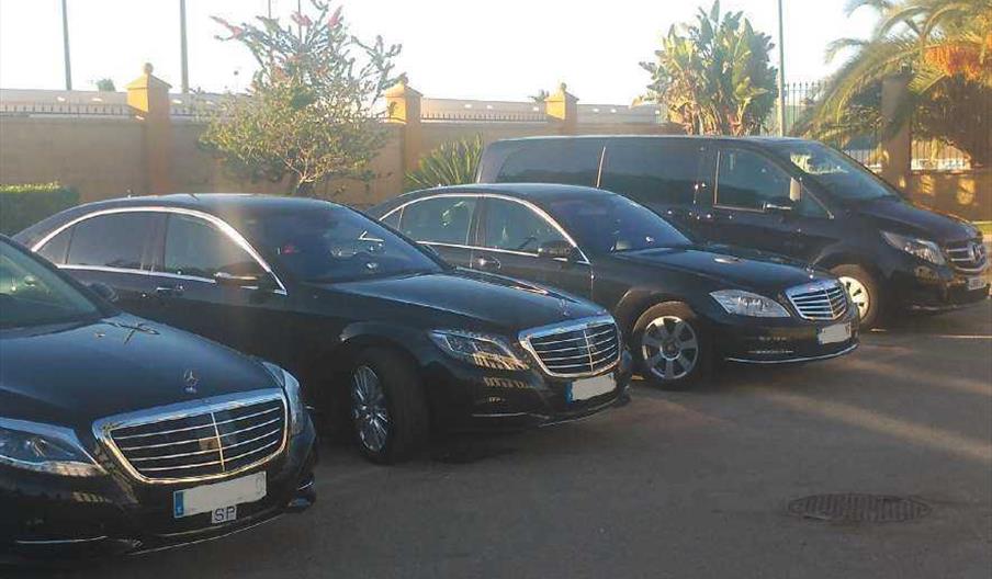 Limousine Premier