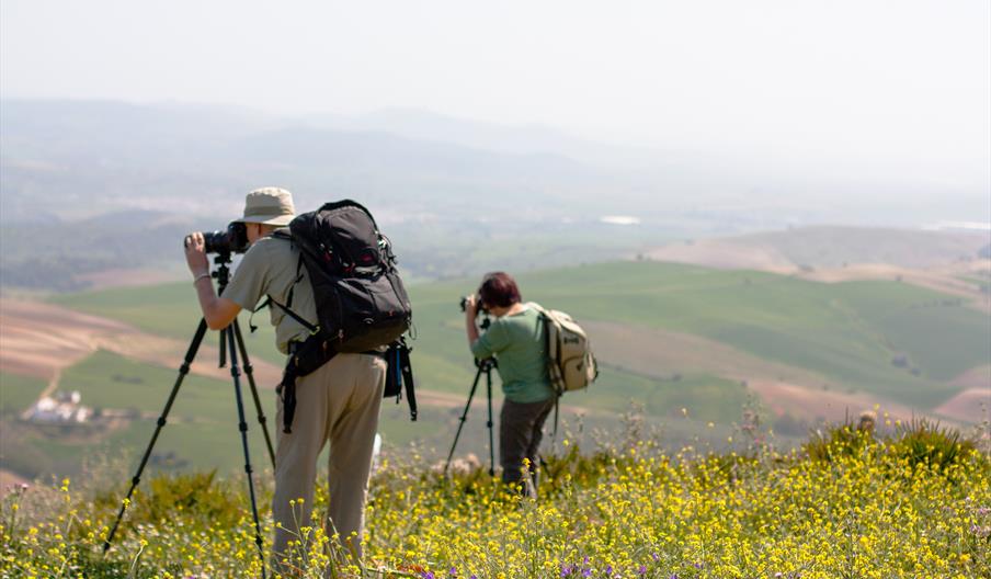 Wild Photoescape