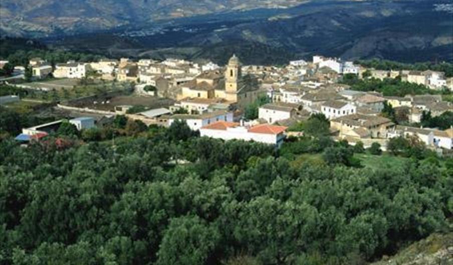 Pinar, El