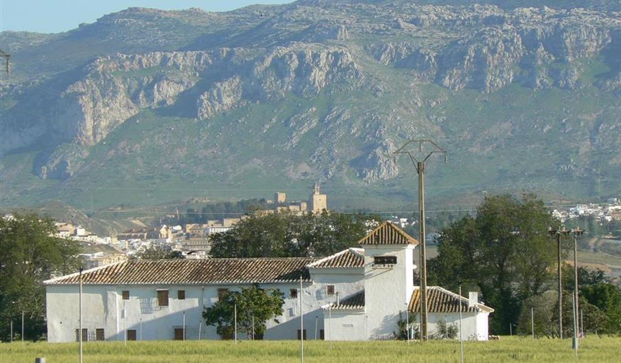 Vega de Antequera