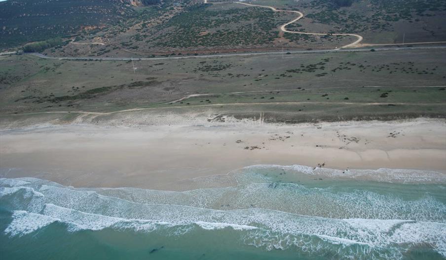 Pajares en Barbate