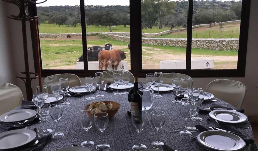 La Capitana Experience Eventos