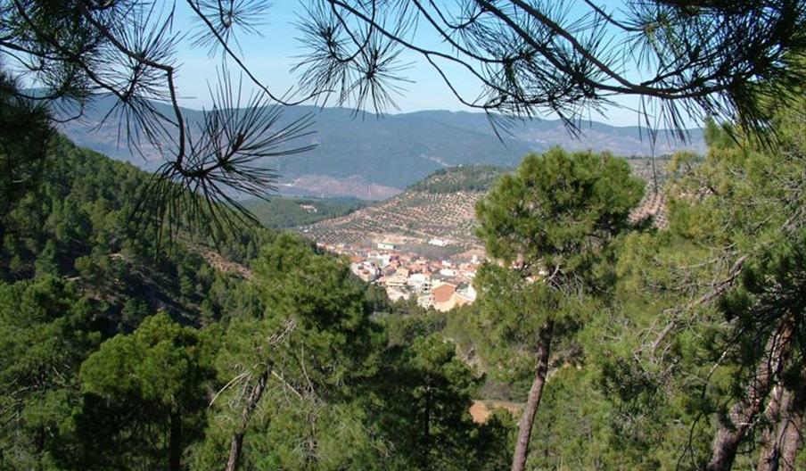 An image of El Hontanar
