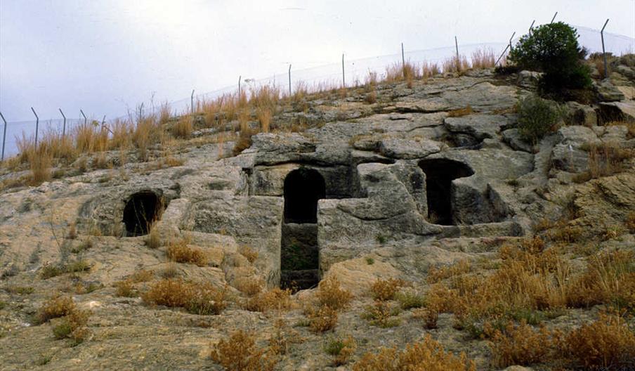 Yacimiento Arqueológico Carissa Aurelia