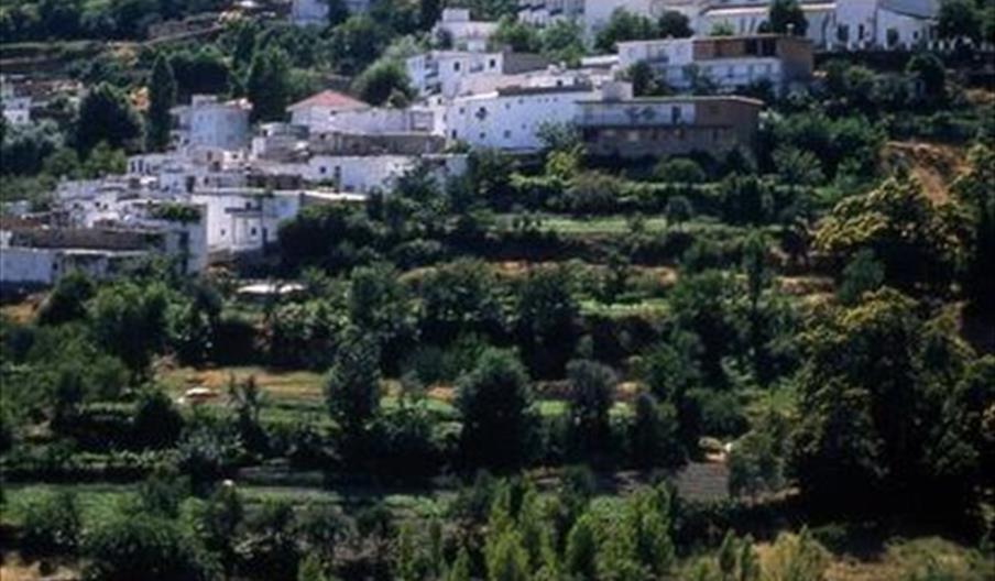 Játar