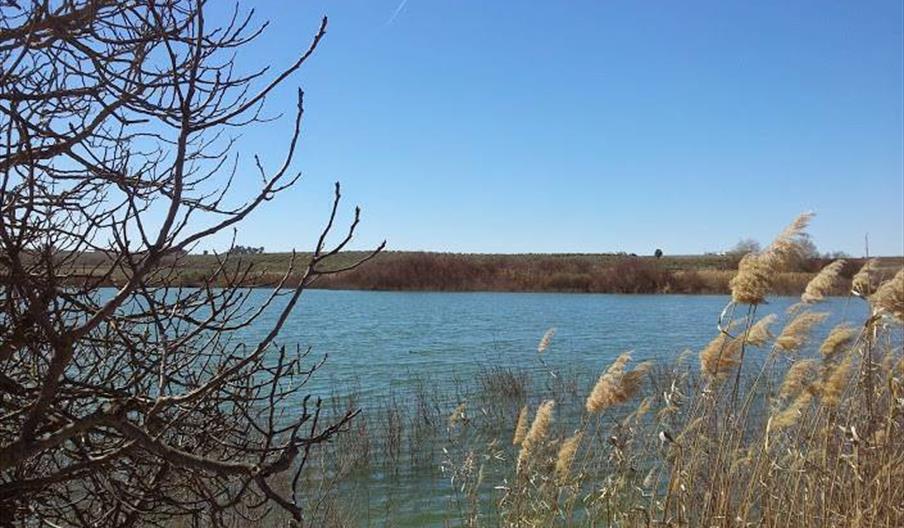 Laguna del Rincón