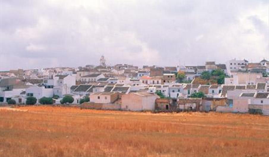 Casariche