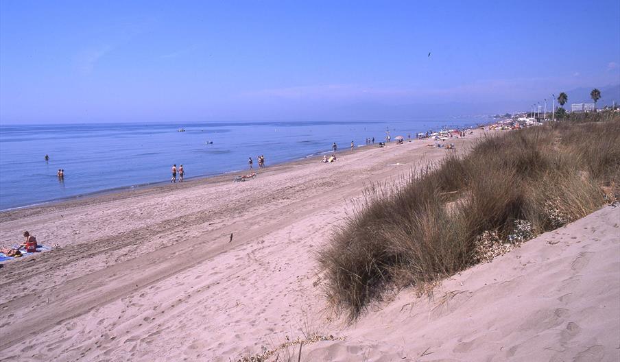 Artola / Cabo Pino
