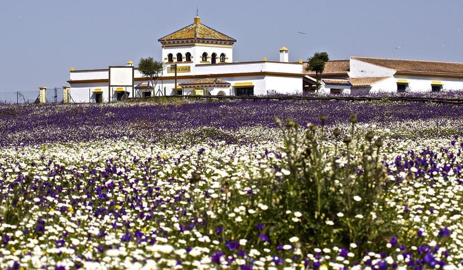 Dehesa de Abajo