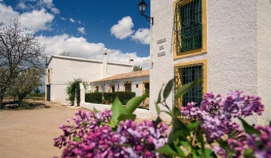Complejo los Llanos