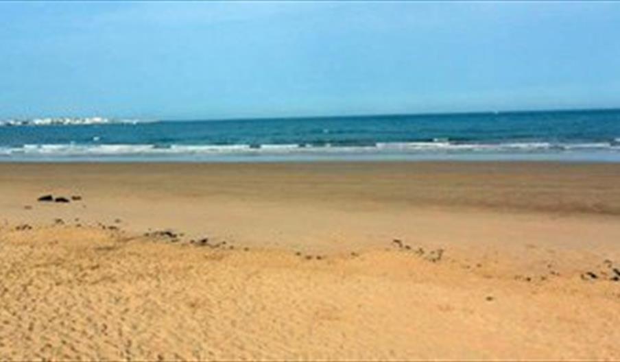 Montijo