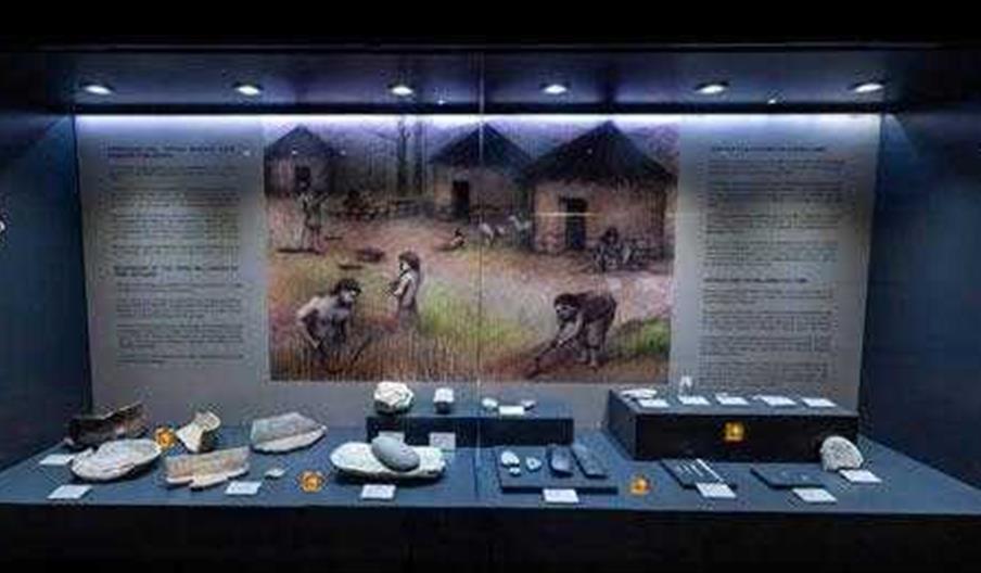 Sala de Historia Local de El Ejido