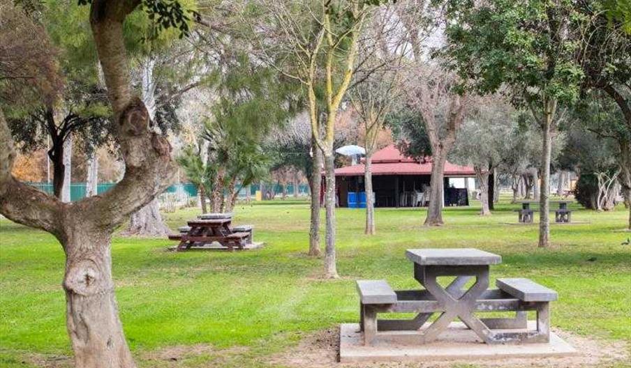 Parque El Majuelo