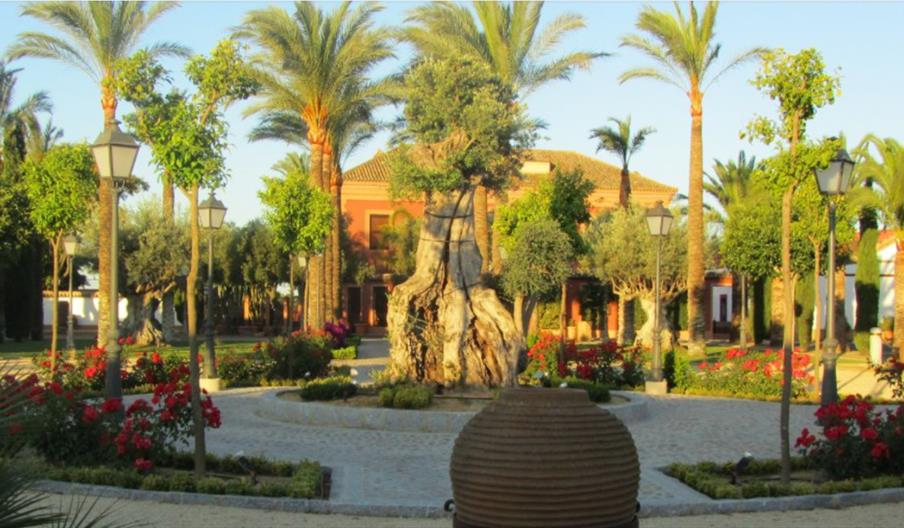 Hacienda Ballemari