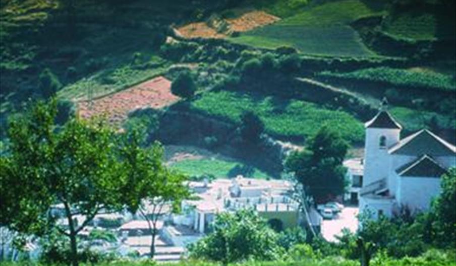 An image of Juviles