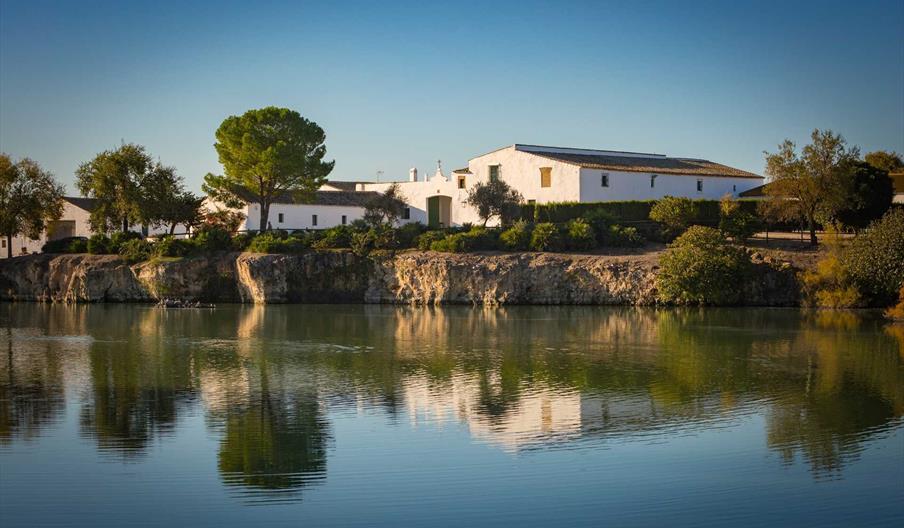 Cortijo de Jara