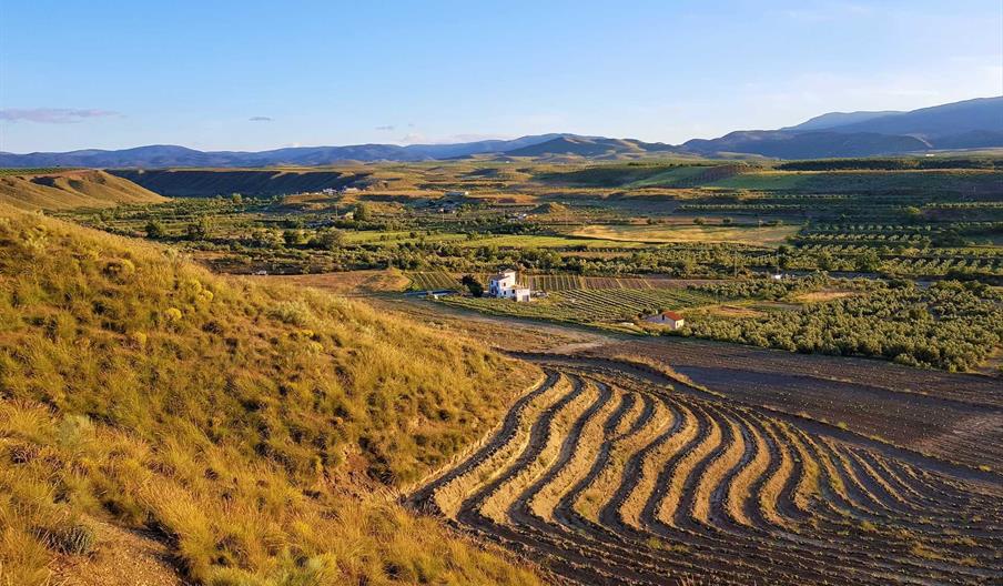 Bodegas Vilaplana