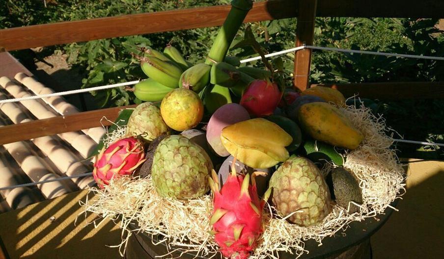 Finca El Pinero