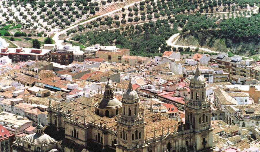 Olivares