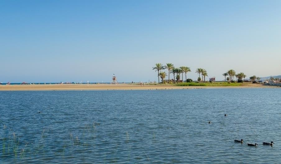Las Marinas / Bolaga