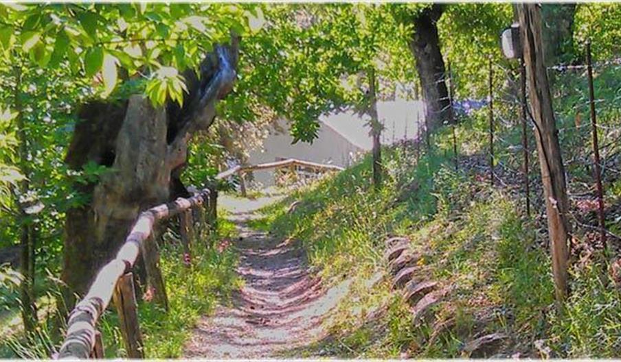 Finca Valbono