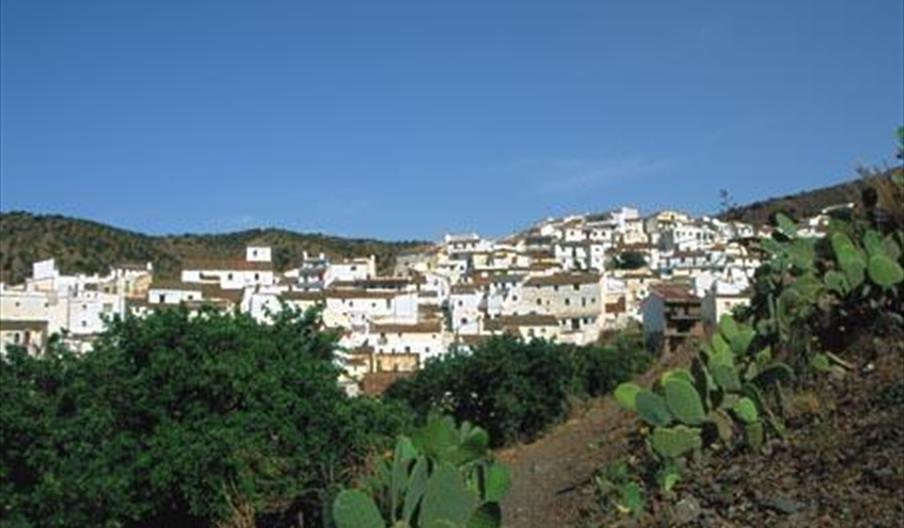 Totalán