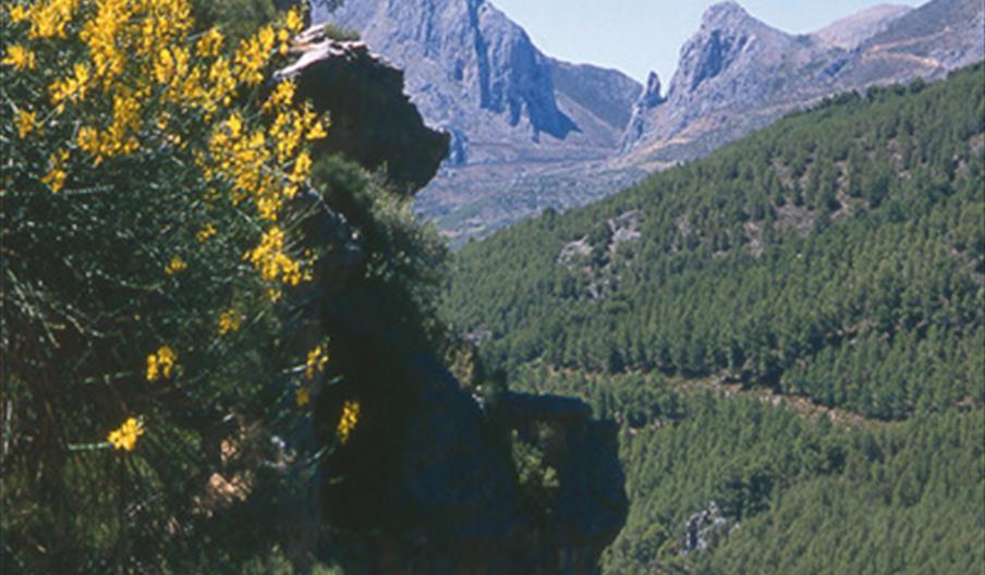 La Axarquía